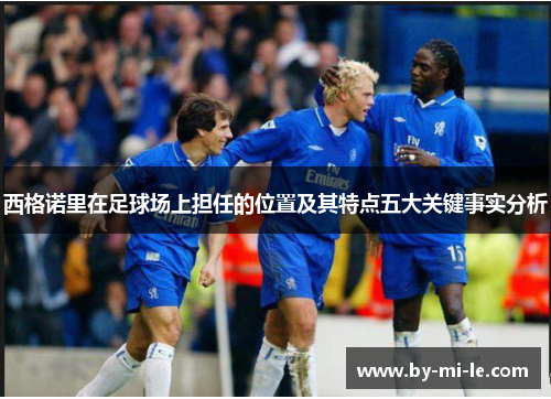 西格诺里在足球场上担任的位置及其特点五大关键事实分析