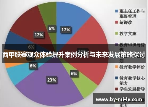 西甲联赛观众体验提升案例分析与未来发展策略探讨