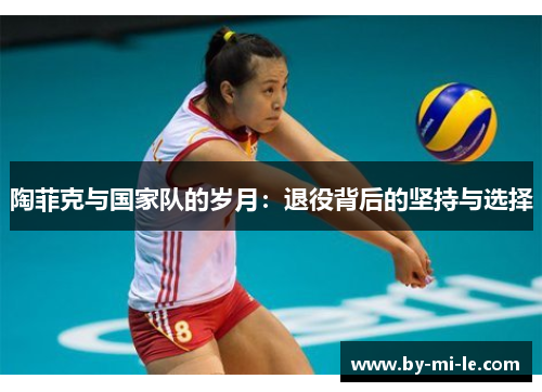 陶菲克与国家队的岁月：退役背后的坚持与选择