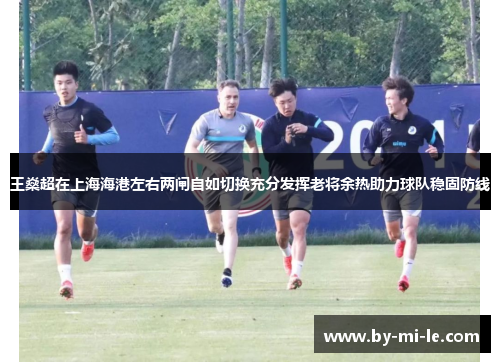 王燊超在上海海港左右两闸自如切换充分发挥老将余热助力球队稳固防线 王燊超在上海海港左右两闸自如切换充分发挥老将余热助力球队稳固防线